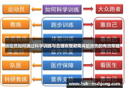 运动员如何通过科学训练与合理恢复避免肾脏损伤的有效策略